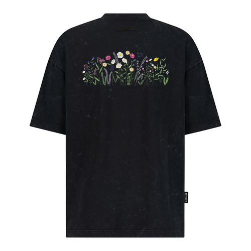 Wildflower Meadow Botanical